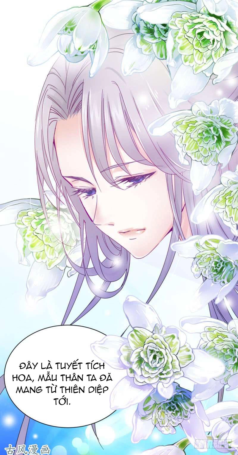 Tuyệt Thế Độc Phi Của Tà Vương Chapter 47 - 23