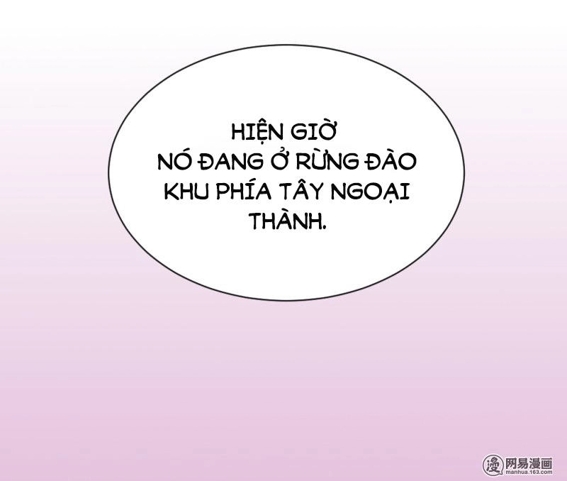 Tuyệt Thế Độc Phi Của Tà Vương Chapter 74 - 31