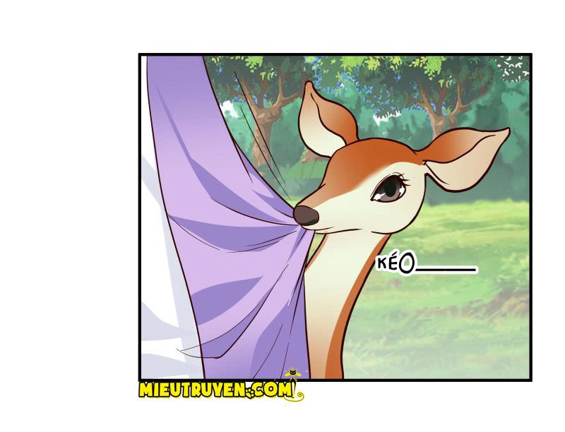 Tuyệt Thế Độc Phi Của Tà Vương Chapter 95 - 14