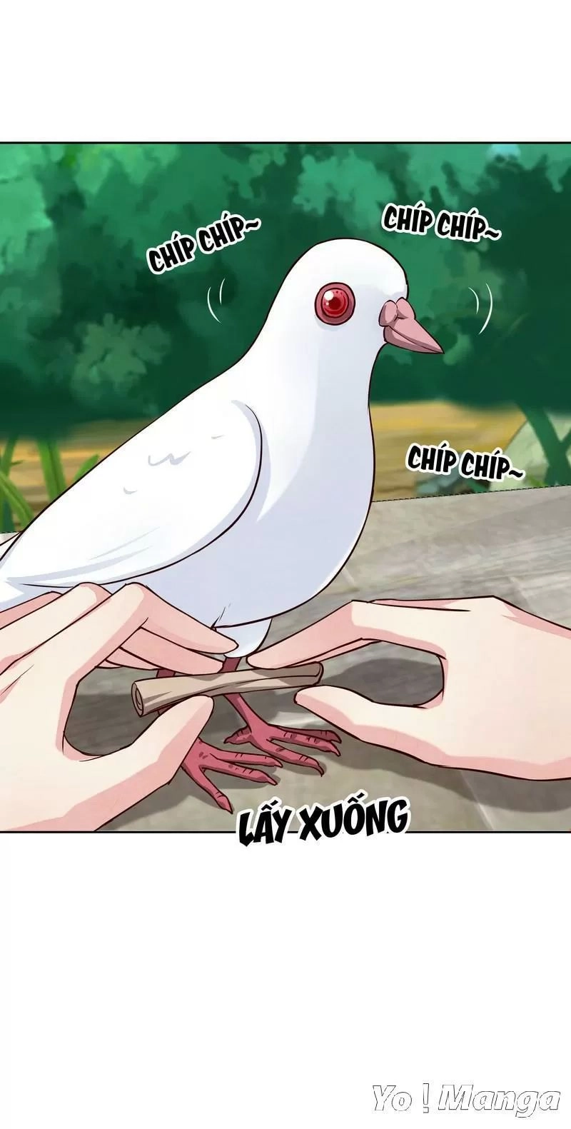 Tuyệt Thế Độc Phi Của Tà Vương Chapter 135 - 6