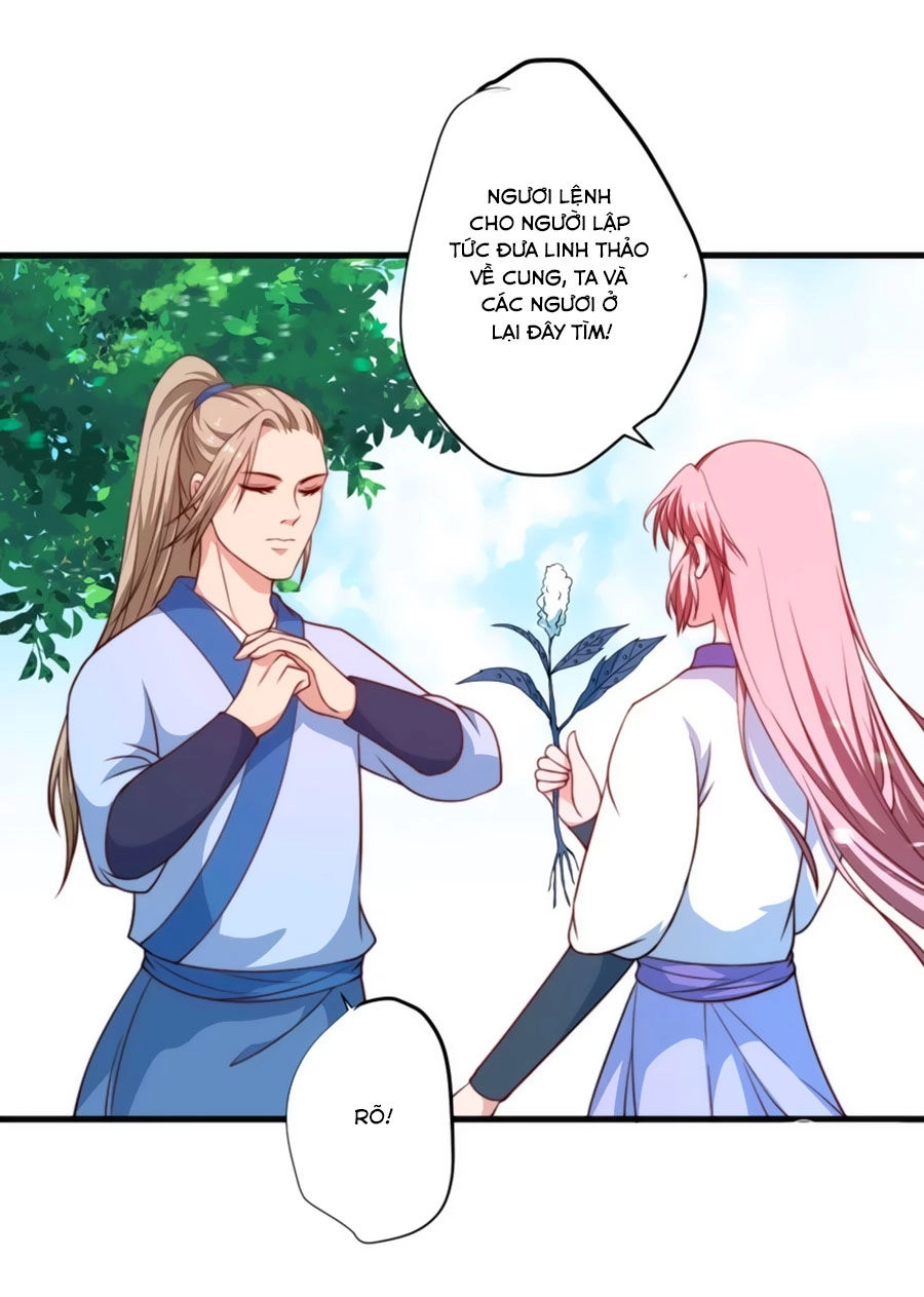 Khuynh Thế Y Phi Muốn Bỏ Chồng Chapter 13 - 28