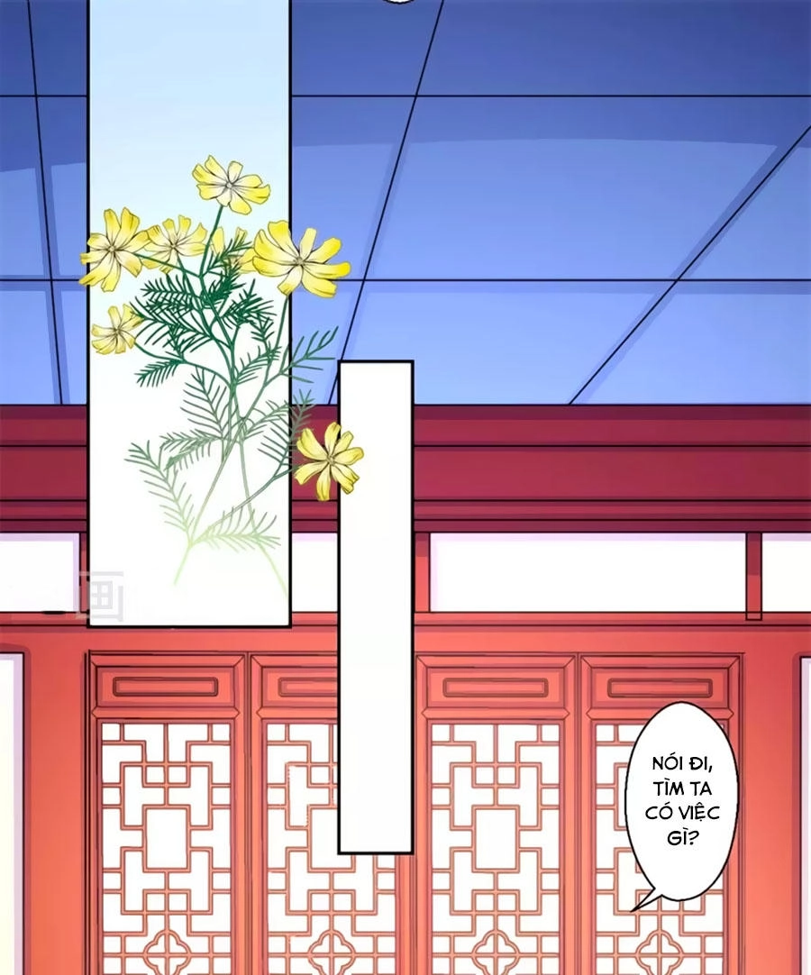 Khuynh Thế Y Phi Muốn Bỏ Chồng Chapter 42 - 20