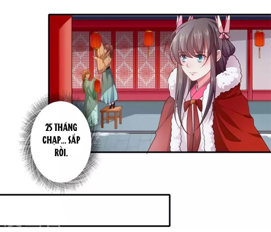 Khuynh Thế Y Phi Muốn Bỏ Chồng Chapter 51 - 20