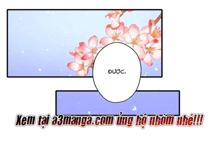 Khuynh Thế Y Phi Muốn Bỏ Chồng Chapter 105 - 26