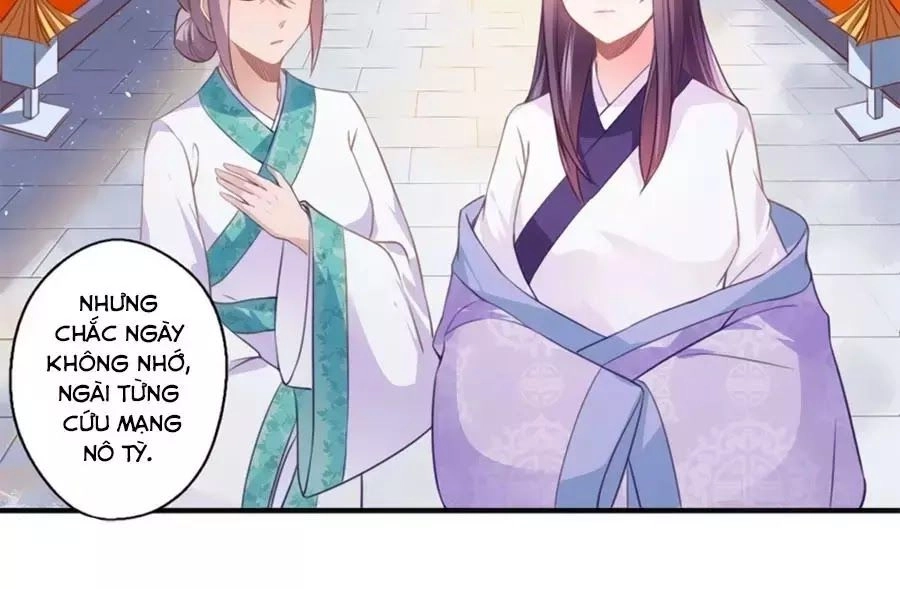 Khuynh Thế Y Phi Muốn Bỏ Chồng Chapter 110 - 11