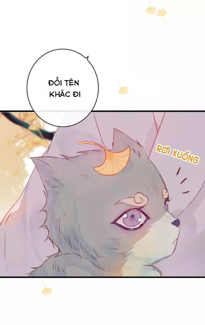 Hồ Minh Chi Hương Chapter 9 - 42