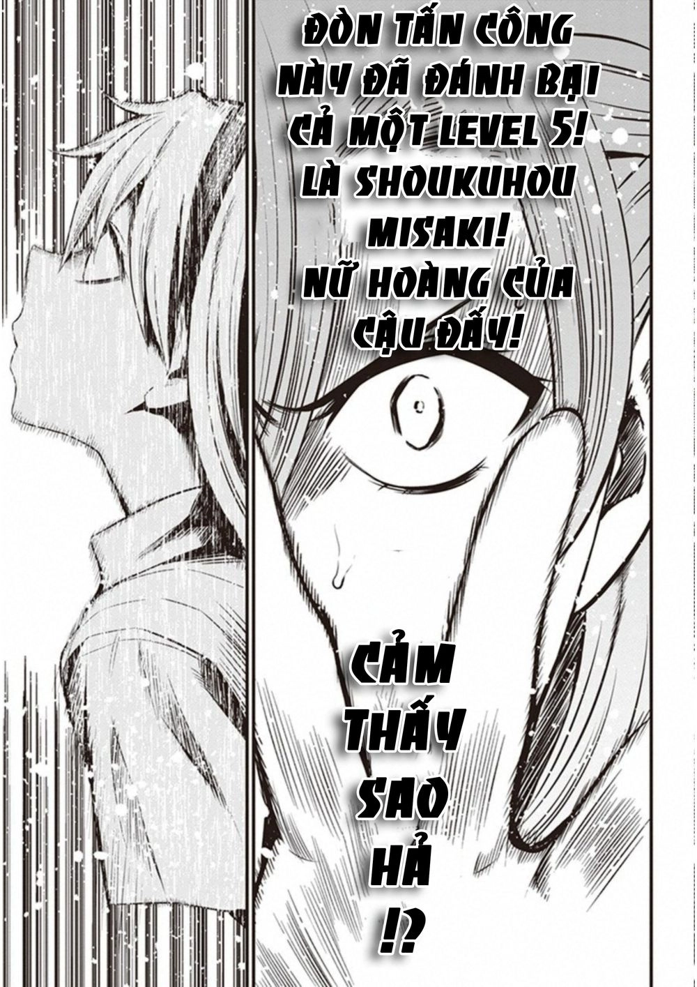 To Aru Kagaku No Railgun Gaiden: Astral Buddy Chapter 12 - 22