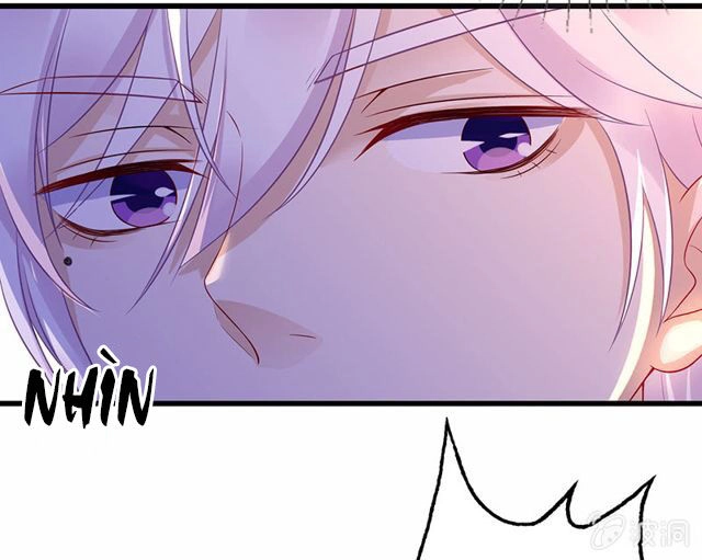 Vương Bài Thiên Sư Và Tiểu Manh Yêu Chapter 1.2 - 37