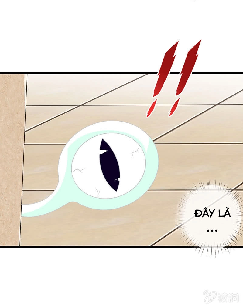 Vương Bài Thiên Sư Và Tiểu Manh Yêu Chapter 8 - 15