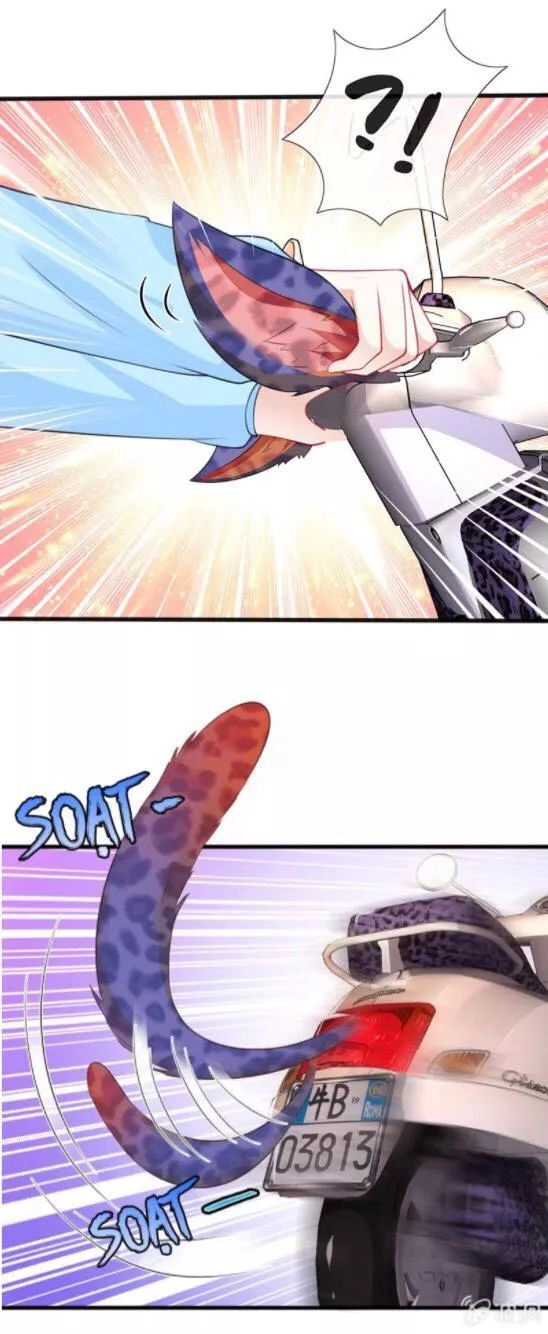 Vương Bài Thiên Sư Và Tiểu Manh Yêu Chapter 19 - 12