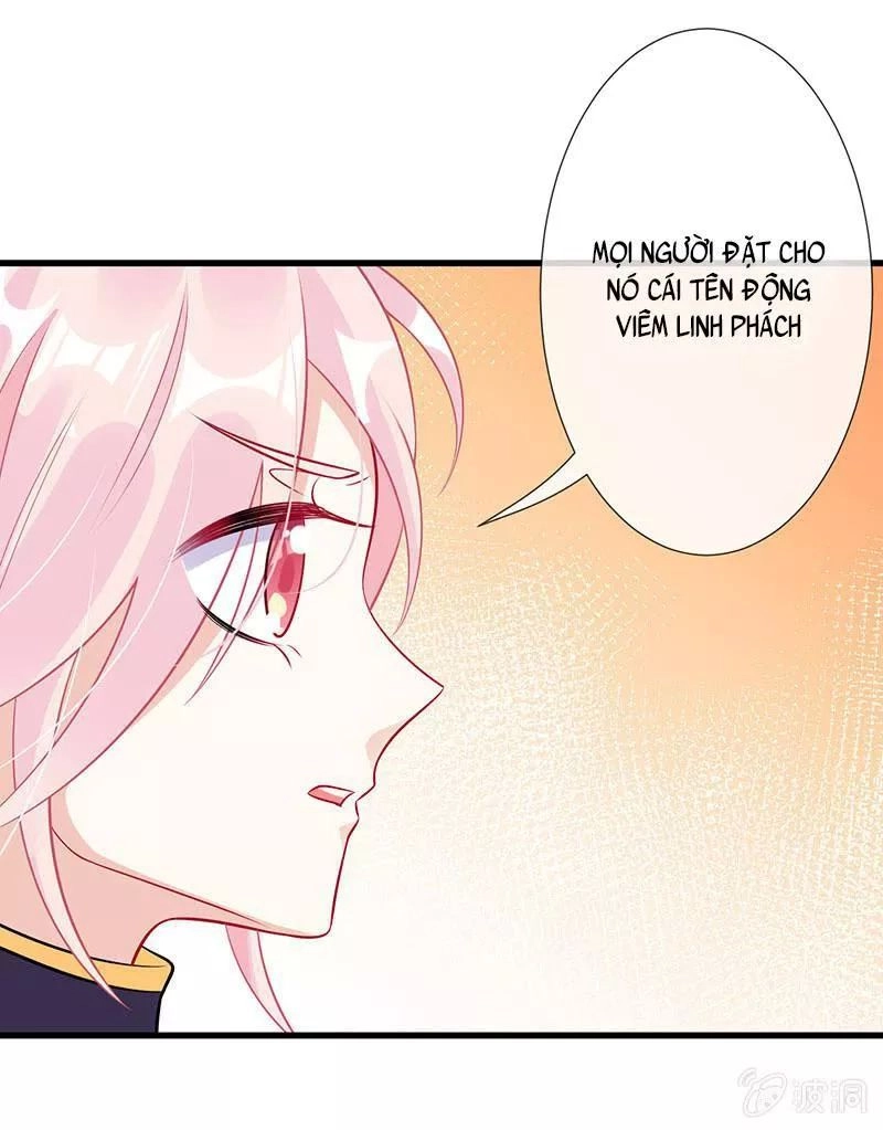 Vương Bài Thiên Sư Và Tiểu Manh Yêu Chapter 67 - 40