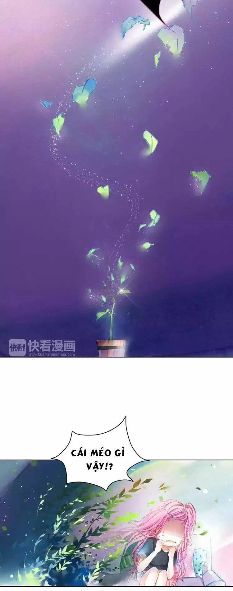 Chuông Và Lá Chapter 1 - 31