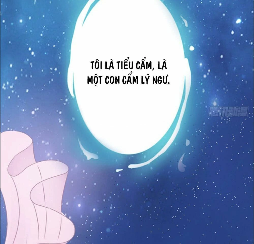 Cẩm Lý Thiếu Nữ Của Tôi Chapter 1 - 3