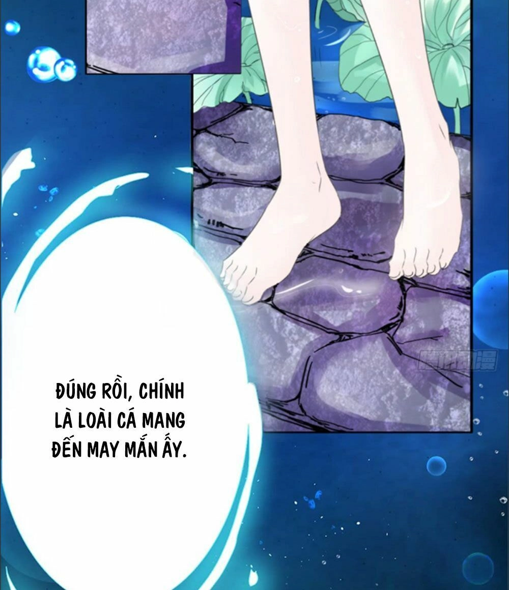 Cẩm Lý Thiếu Nữ Của Tôi Chapter 1 - 8