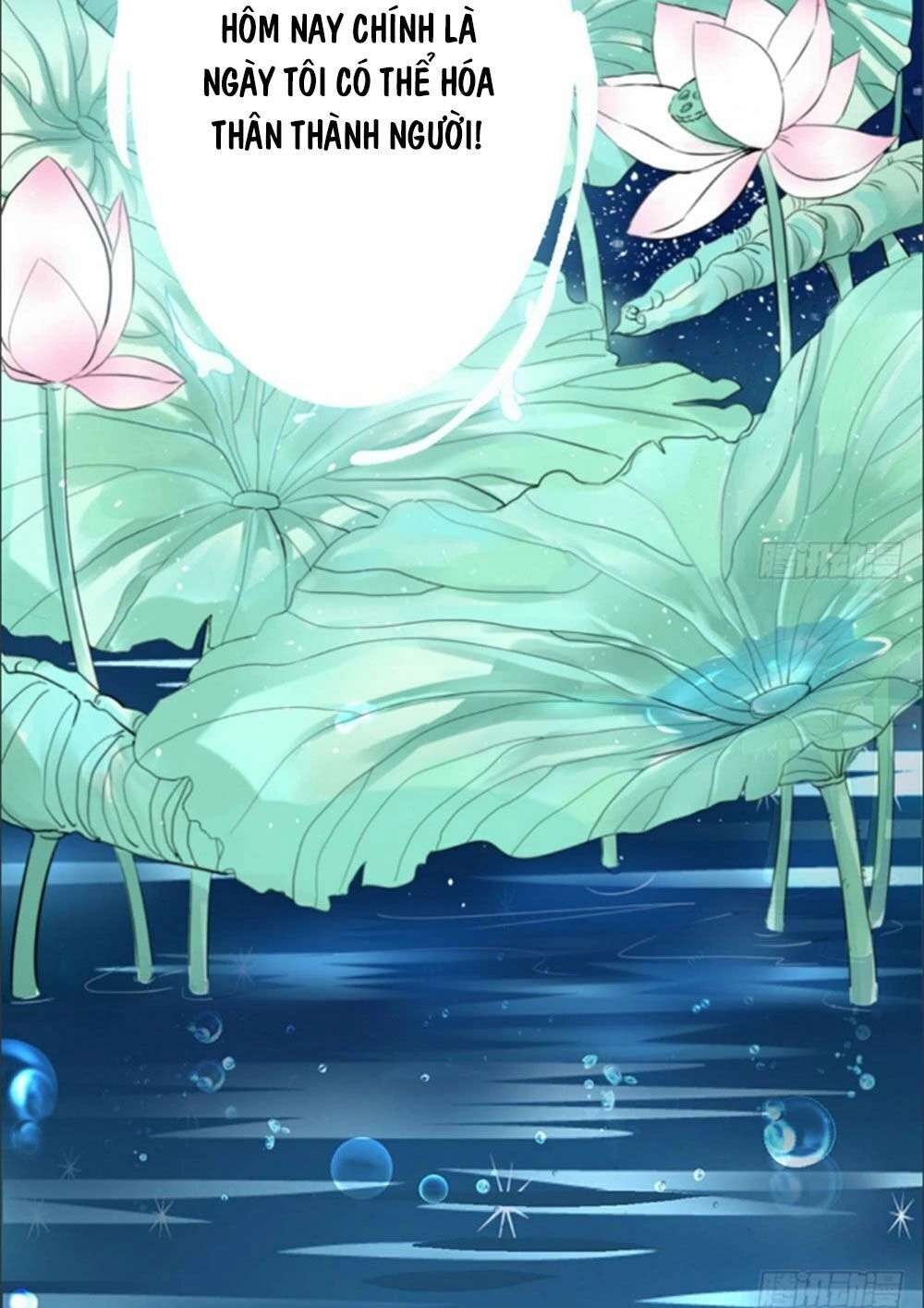 Cẩm Lý Thiếu Nữ Của Tôi Chapter 1 - 12