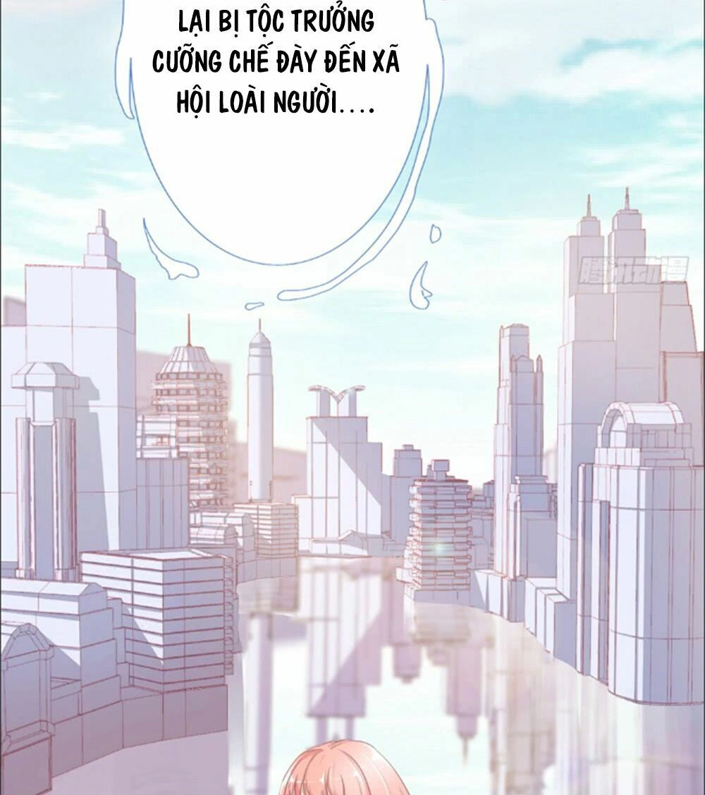 Cẩm Lý Thiếu Nữ Của Tôi Chapter 1 - 16