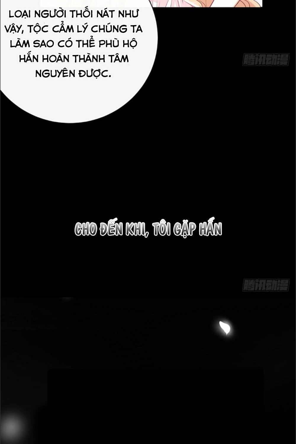 Cẩm Lý Thiếu Nữ Của Tôi Chapter 1 - 28