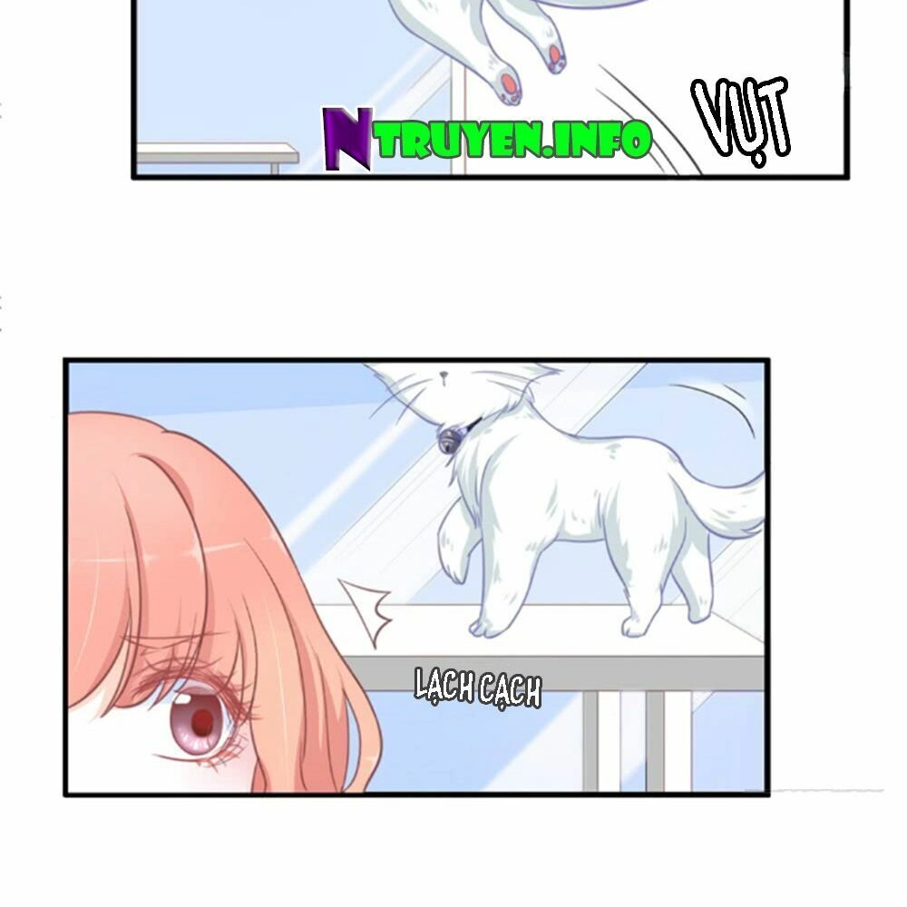 Cẩm Lý Thiếu Nữ Của Tôi Chapter 5.3 - 18