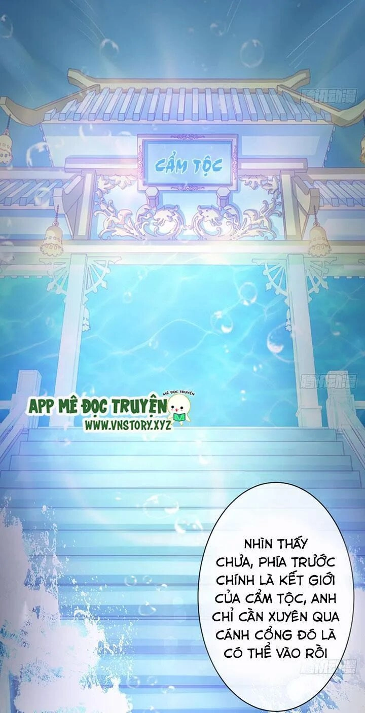 Cẩm Lý Thiếu Nữ Của Tôi Chapter 60 - 22