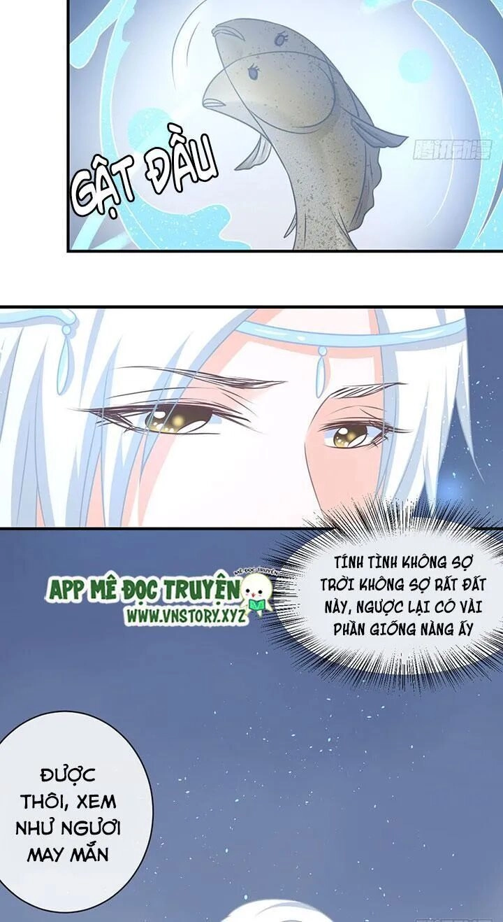 Cẩm Lý Thiếu Nữ Của Tôi Chapter 62 - 22