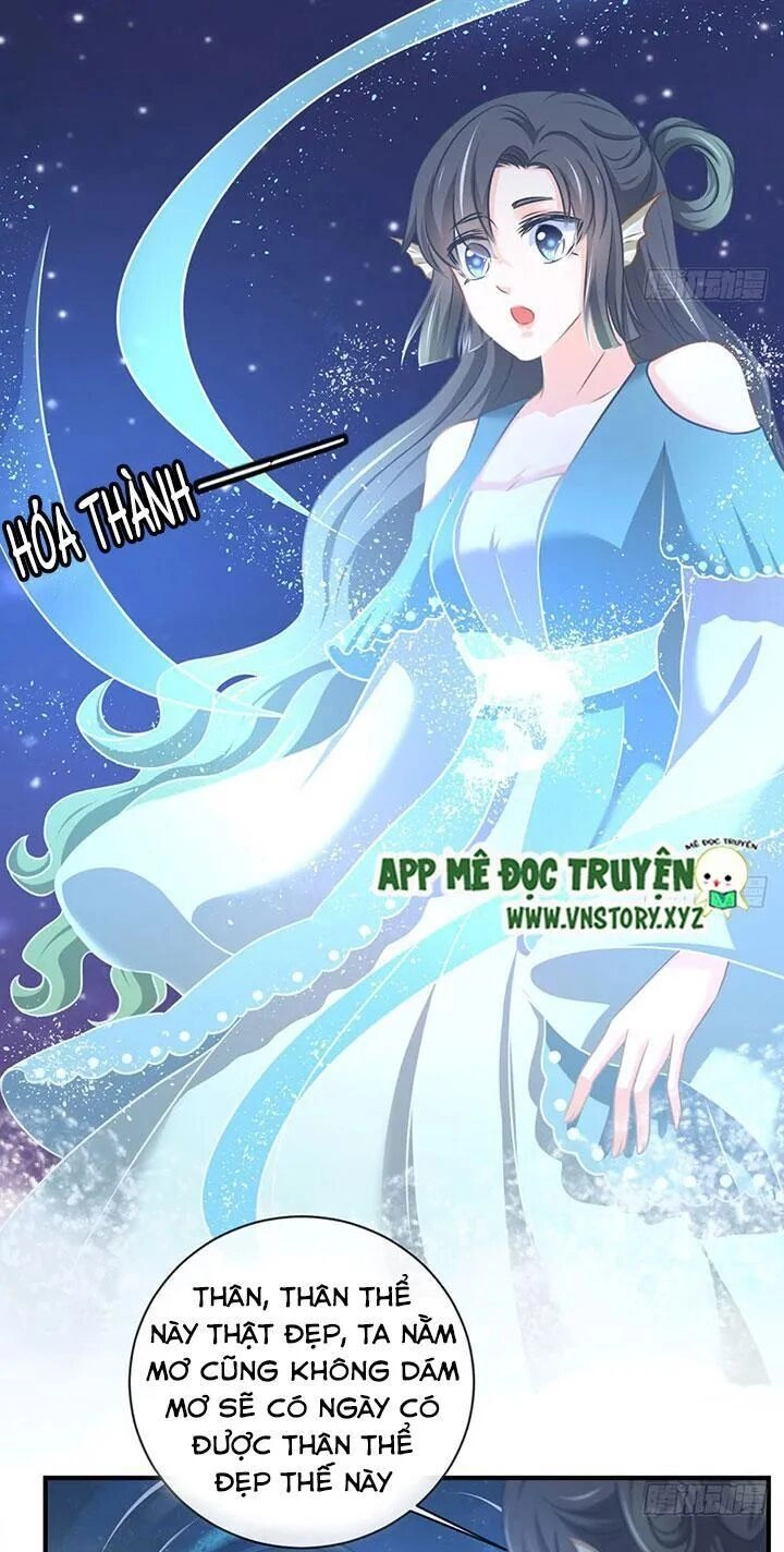 Cẩm Lý Thiếu Nữ Của Tôi Chapter 62 - 25