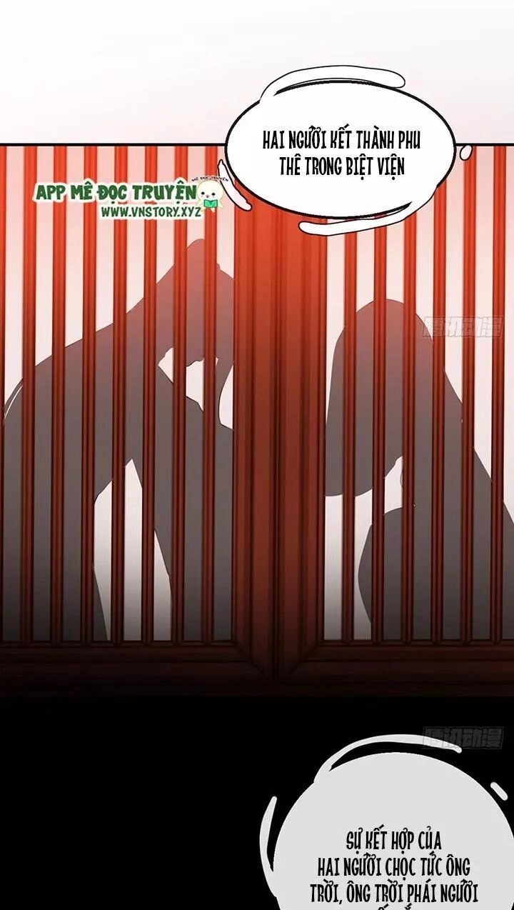 Cẩm Lý Thiếu Nữ Của Tôi Chapter 115 - 24