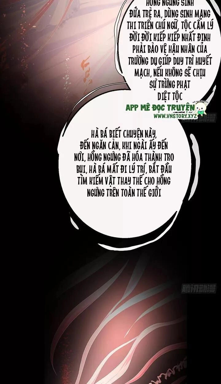 Cẩm Lý Thiếu Nữ Của Tôi Chapter 115 - 36