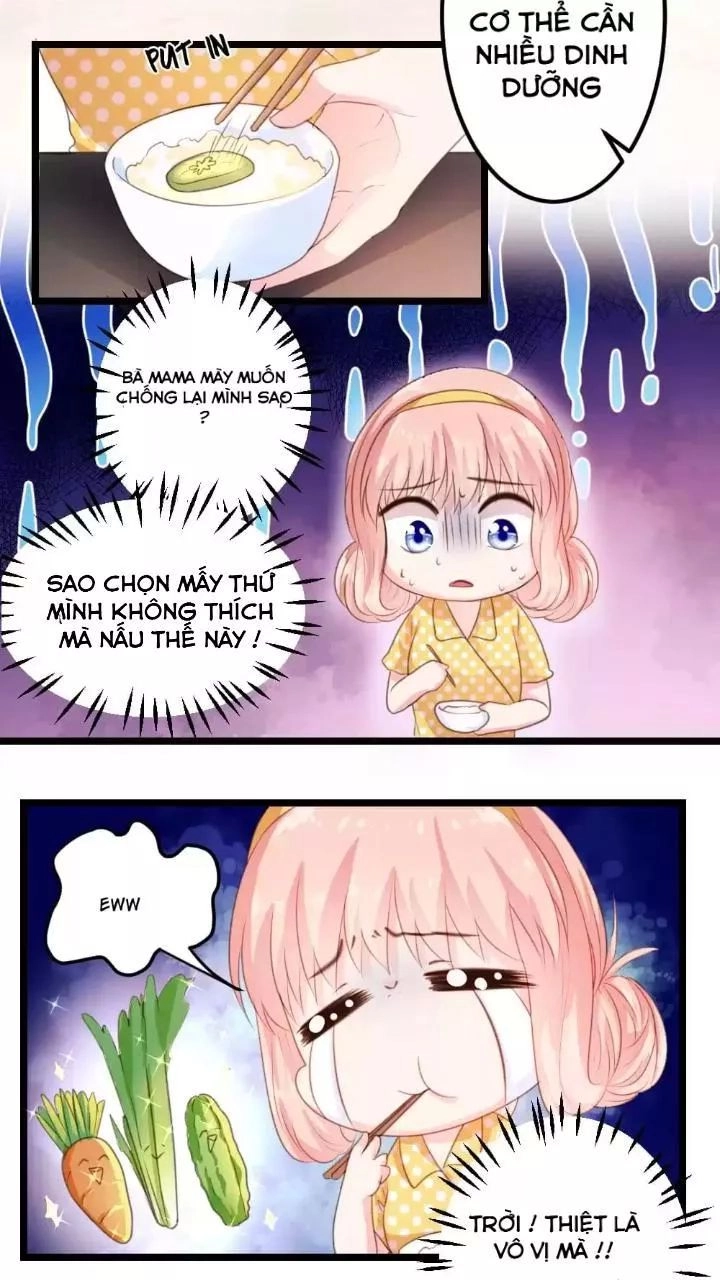 Bản Hợp Đồng Của Tổng Tài Lạnh Lùng Chapter 6 - 2