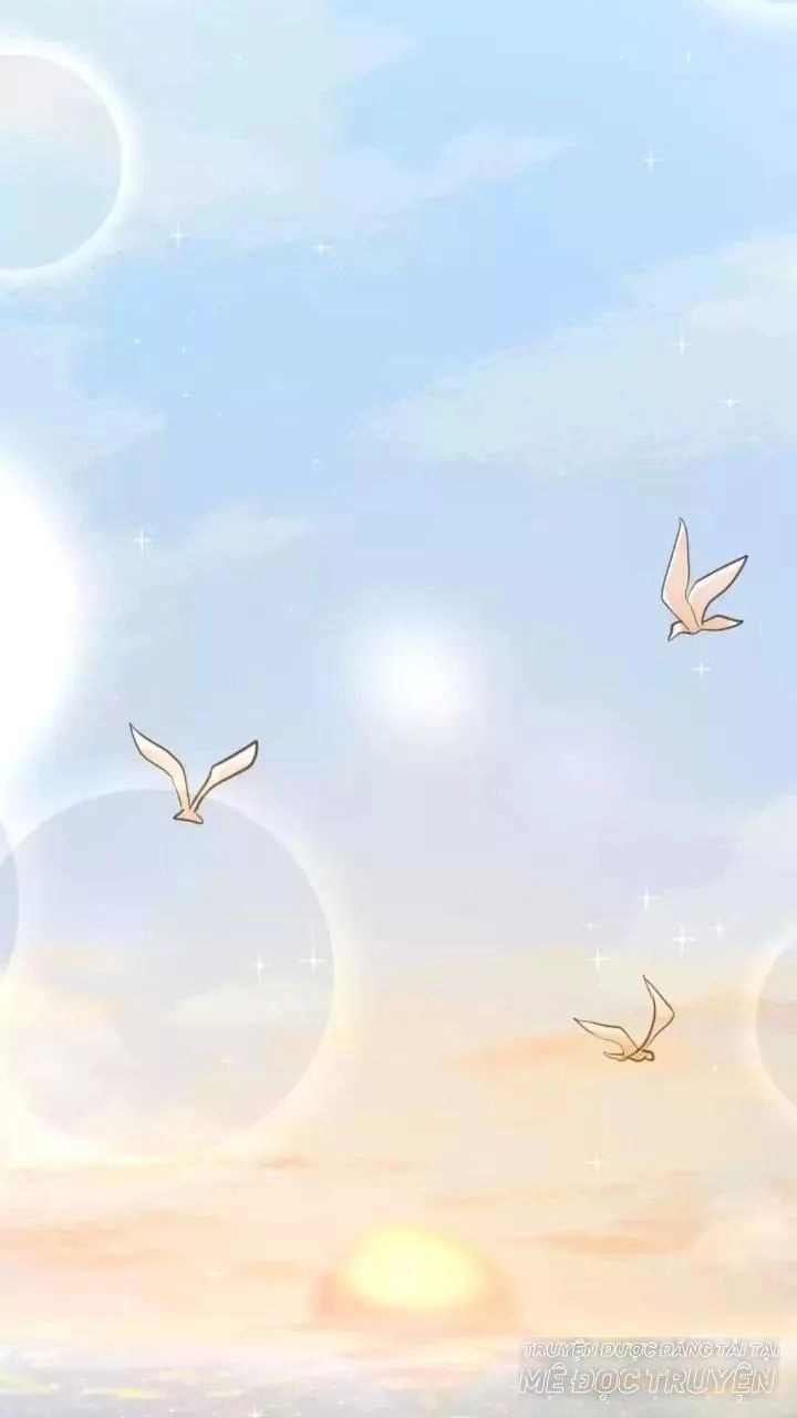 Bản Hợp Đồng Của Tổng Tài Lạnh Lùng Chapter 11 - 16