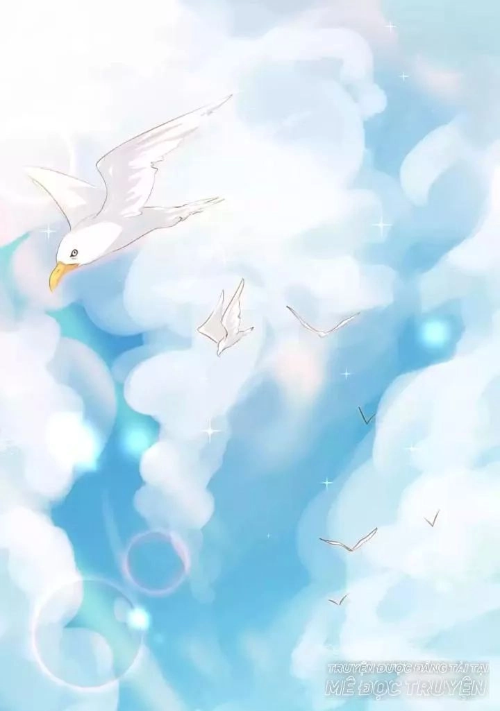 Bản Hợp Đồng Của Tổng Tài Lạnh Lùng Chapter 12 - 1