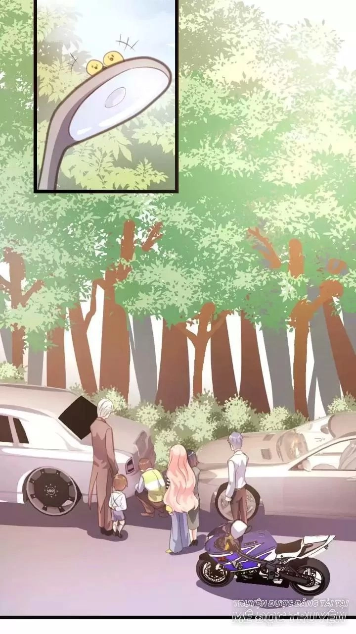 Bản Hợp Đồng Của Tổng Tài Lạnh Lùng Chapter 19 - 16