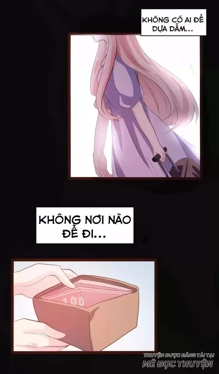 Bản Hợp Đồng Của Tổng Tài Lạnh Lùng Chapter 21 - 11