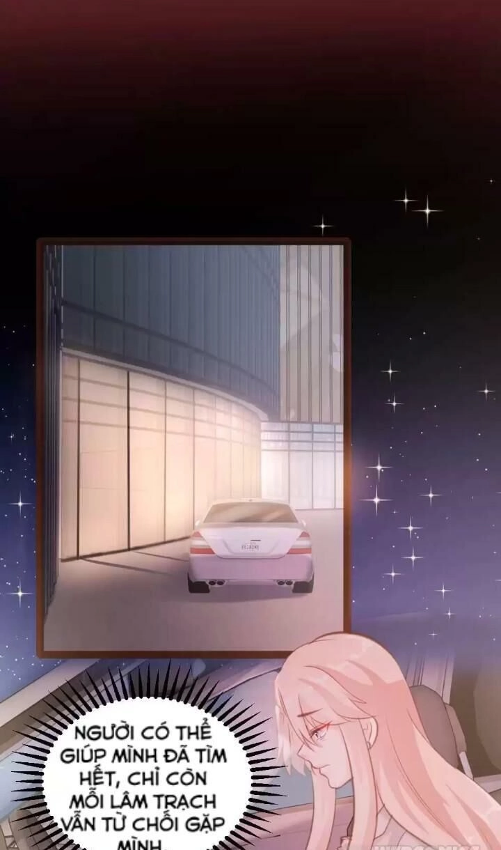 Bản Hợp Đồng Của Tổng Tài Lạnh Lùng Chapter 48 - 14