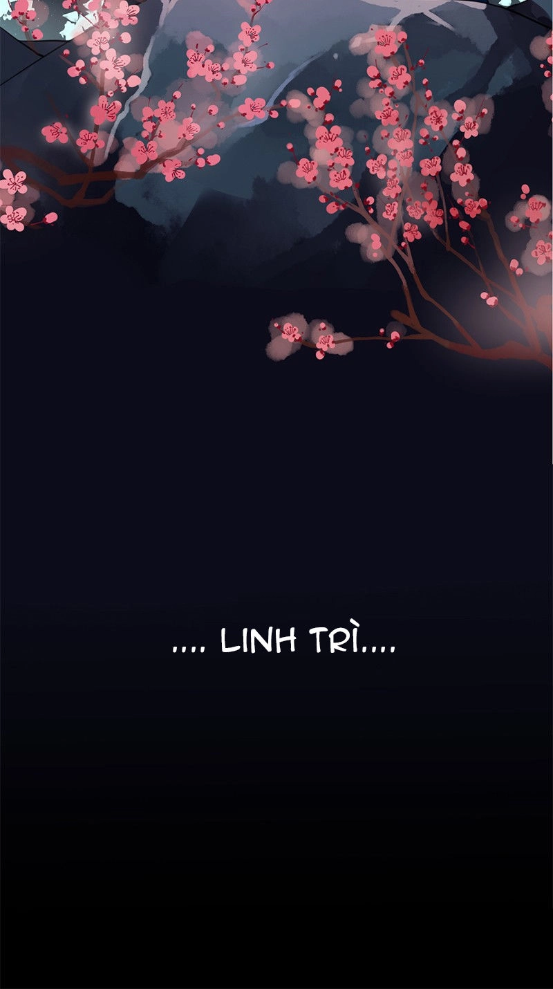 Lời Nguyền Lâu Lan: Bạo Quân Hung Ác Sủng Ái Ta Chapter 42 - 13