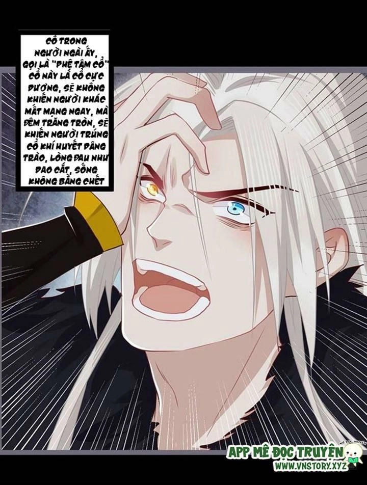 Lời Nguyền Lâu Lan: Bạo Quân Hung Ác Sủng Ái Ta Chapter 84 - 7