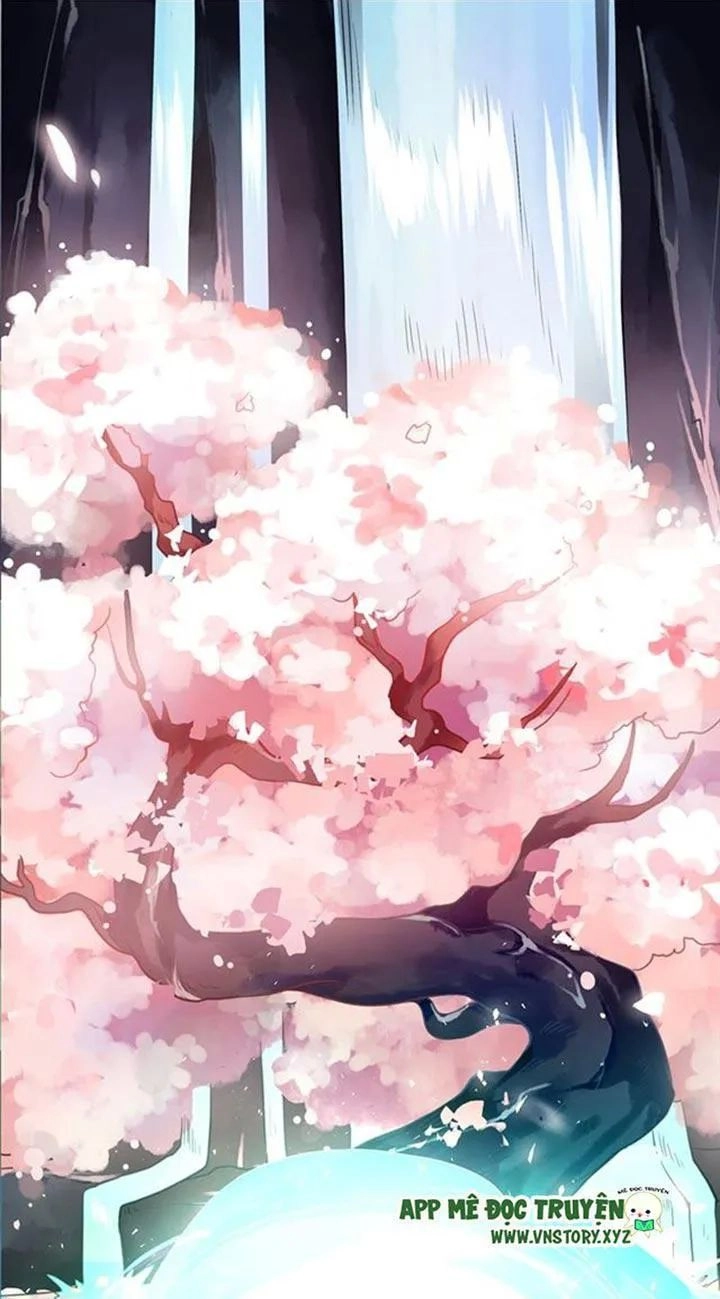 Lời Nguyền Lâu Lan: Bạo Quân Hung Ác Sủng Ái Ta Chapter 94 - 11