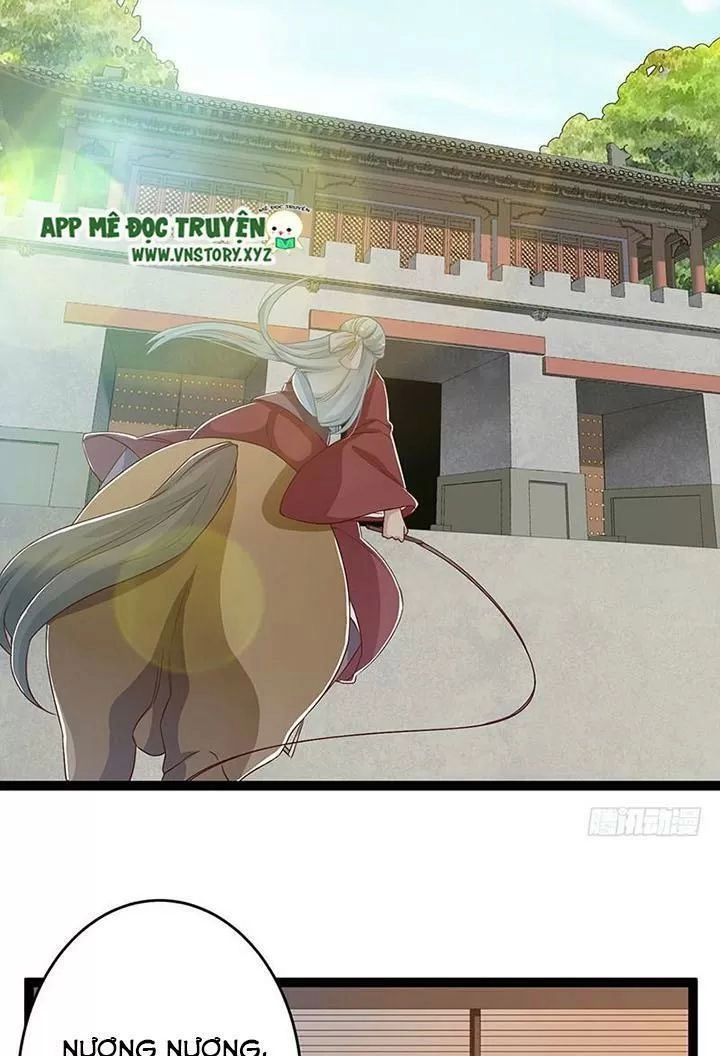 Lời Nguyền Lâu Lan: Bạo Quân Hung Ác Sủng Ái Ta Chapter 148 - 11