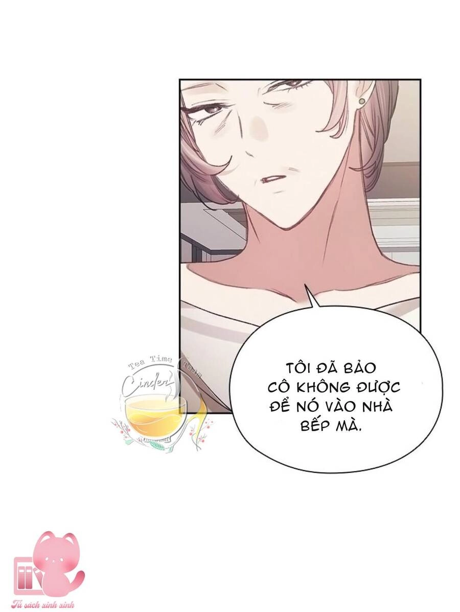 Cơ Hội Cuối Cùng Chapter 34 - 29