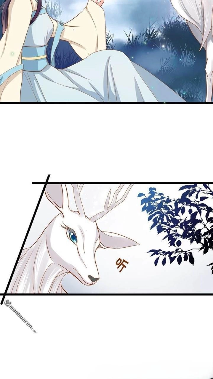 Định Mệnh Giữa Vị Thần Và Tiểu Cô Nương Chapter 3 - 11