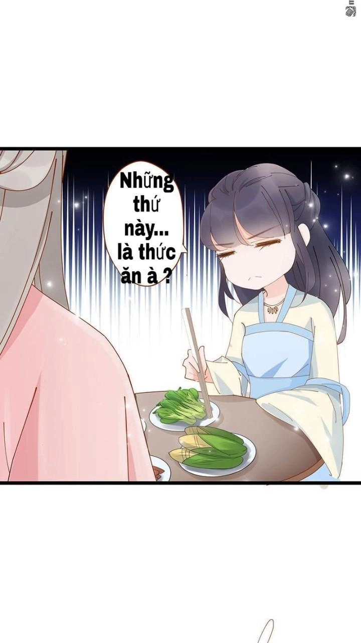 Định Mệnh Giữa Vị Thần Và Tiểu Cô Nương Chapter 6 - 13