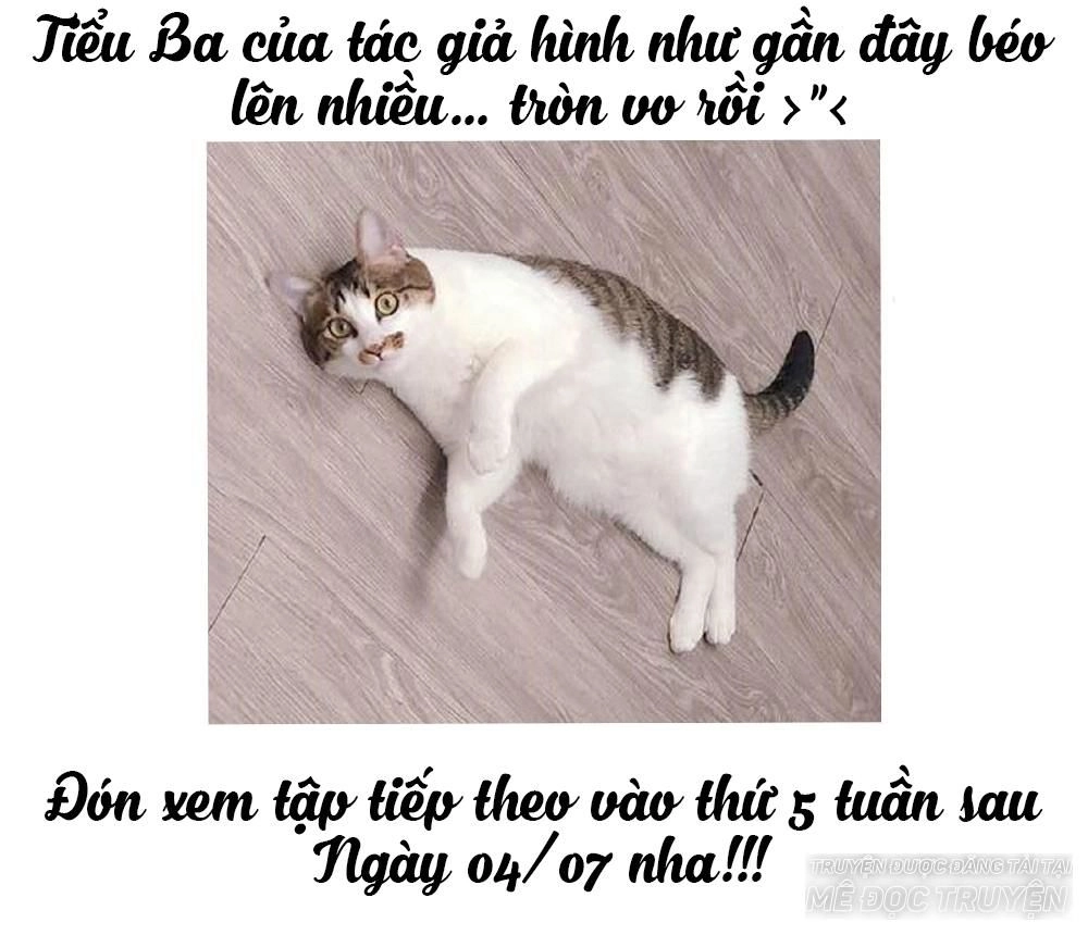 Thái Tử Phi Nhà Ta Thật Hung Hăng Chapter 14 - 96