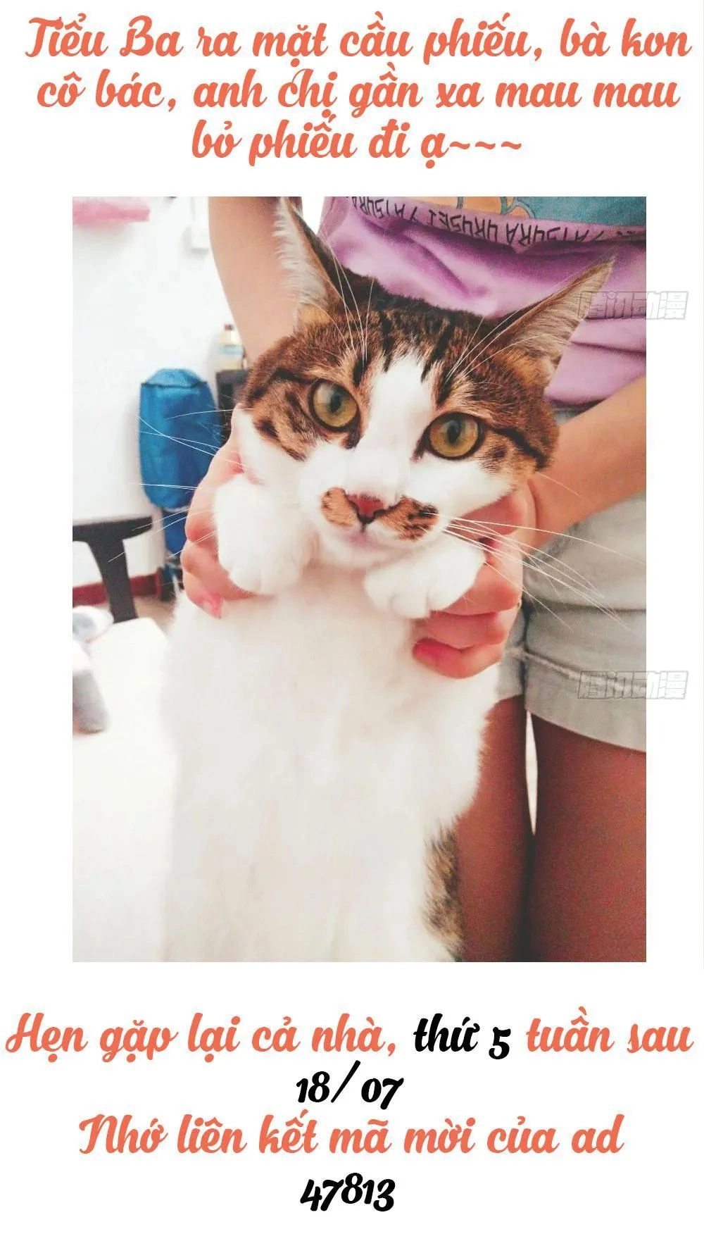 Thái Tử Phi Nhà Ta Thật Hung Hăng Chapter 14.3 - 102