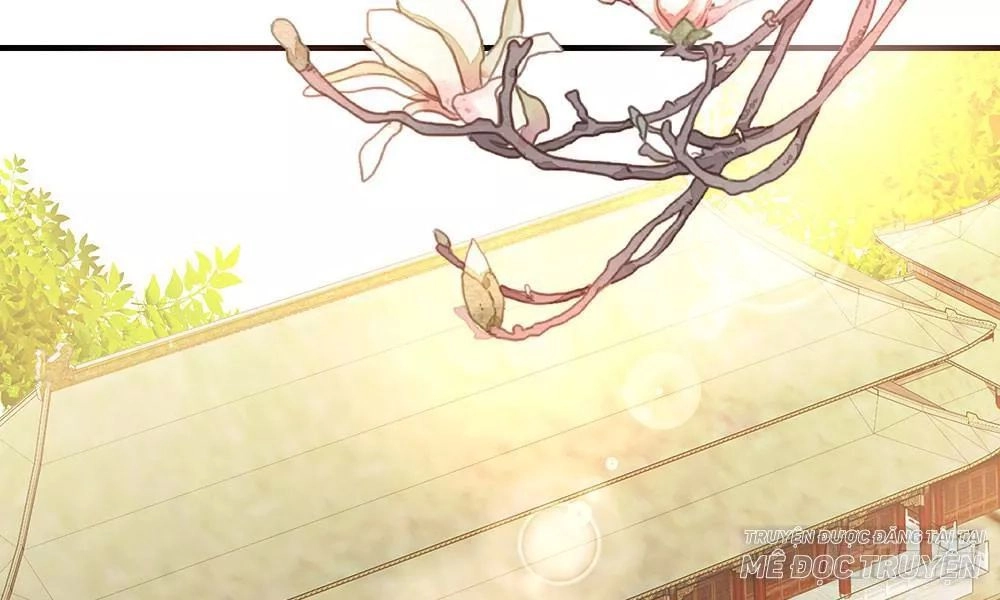 Thái Tử Phi Nhà Ta Thật Hung Hăng Chapter 15 - 76