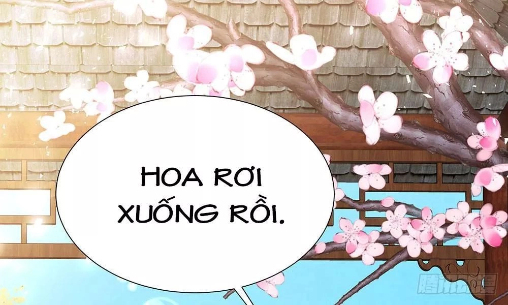 Thái Tử Phi Nhà Ta Thật Hung Hăng Chapter 15 - 104