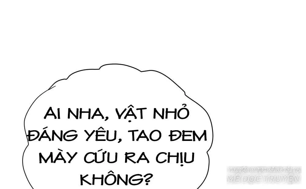 Thái Tử Phi Nhà Ta Thật Hung Hăng Chapter 16 - 106