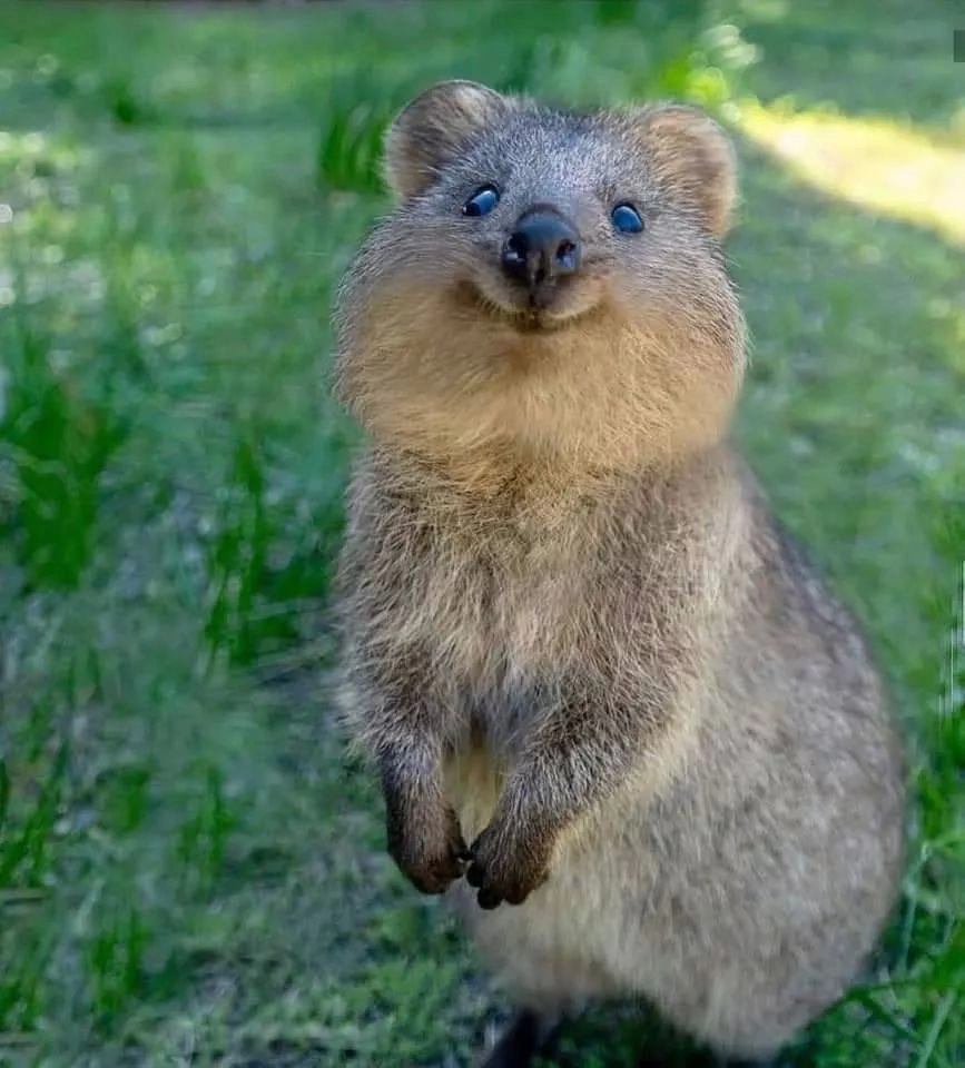 Thái Tử Phi Nhà Ta Thật Hung Hăng Chapter 16 - 161