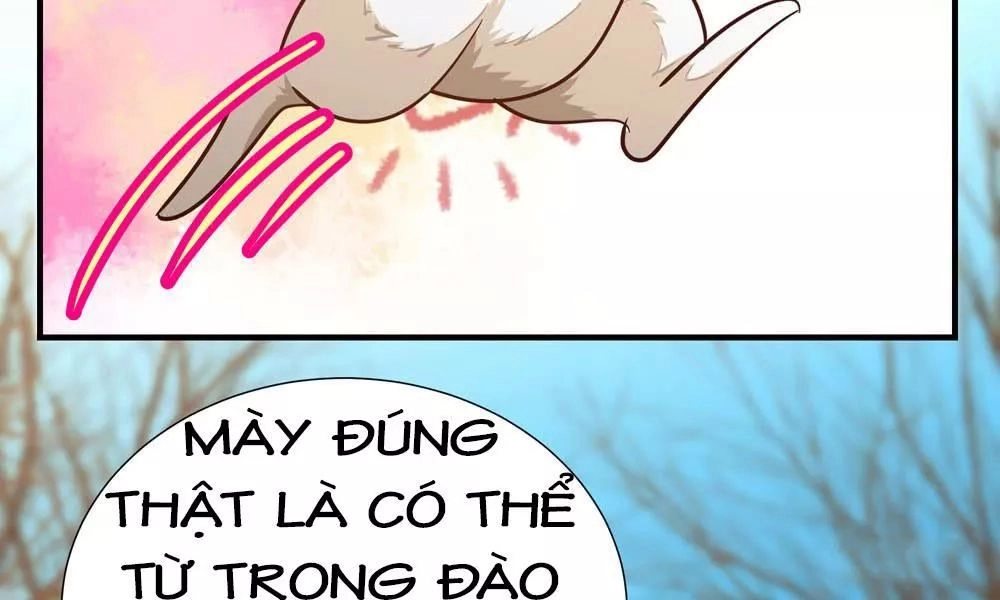 Thái Tử Phi Nhà Ta Thật Hung Hăng Chapter 17 - 14