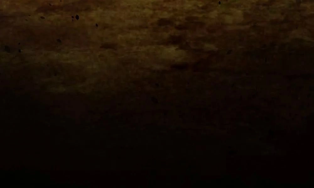 Thái Tử Phi Nhà Ta Thật Hung Hăng Chapter 23 - 135