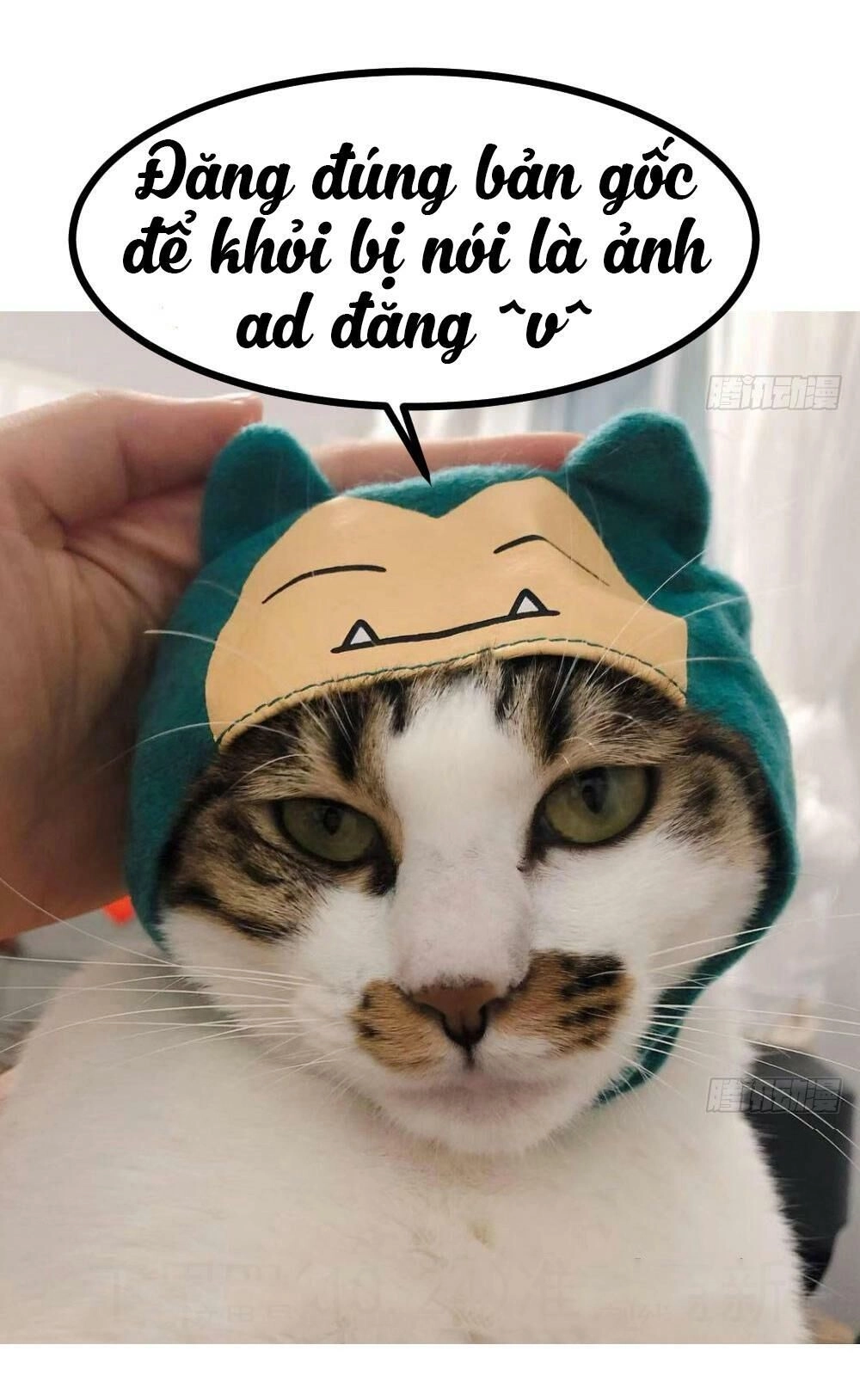 Thái Tử Phi Nhà Ta Thật Hung Hăng Chapter 30 - 67