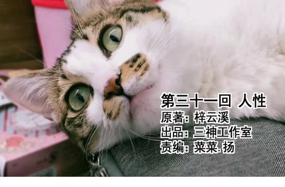 Thái Tử Phi Nhà Ta Thật Hung Hăng Chapter 31 - 4